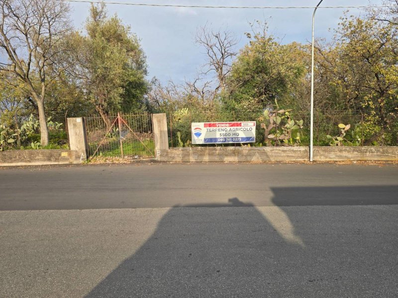 Terreno agrícola en Aci Sant'Antonio