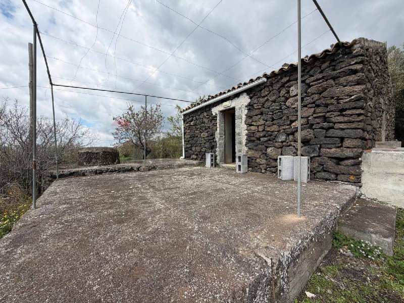 Terrain agricole à Santa Maria di Licodia