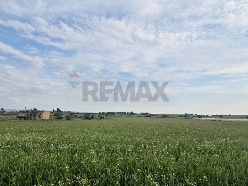 维多利亚农用土地