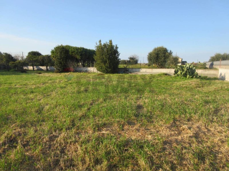 Terreno agrícola en Augusta