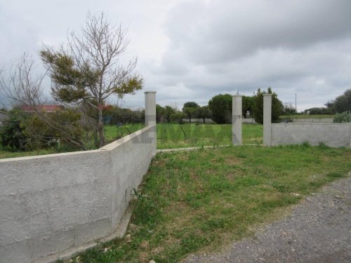 Terreno agrícola en Augusta