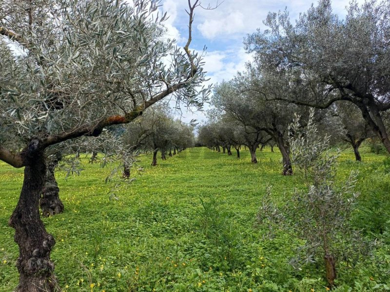 Moradia em Chiaramonte Gulfi