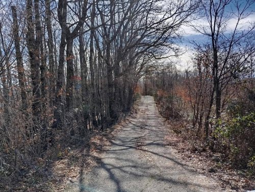 Terreno agricolo a Santa Domenica Vittoria
