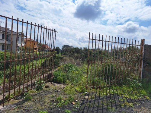 Terrain agricole à Mascalucia