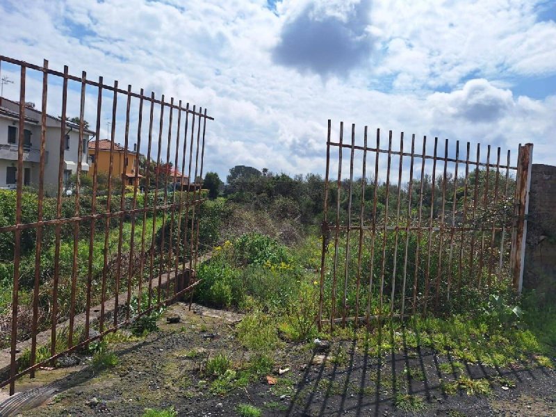 Terrain agricole à Mascalucia