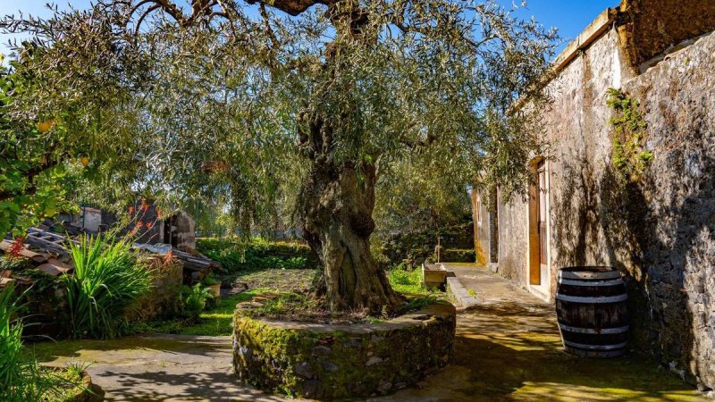 Einfamilienhaus in Viagrande