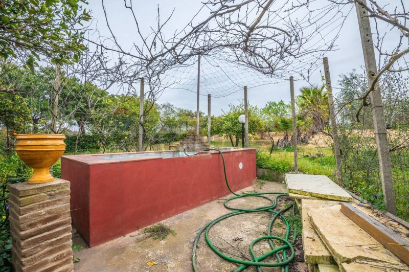 卡尔塔吉罗内半独立房屋