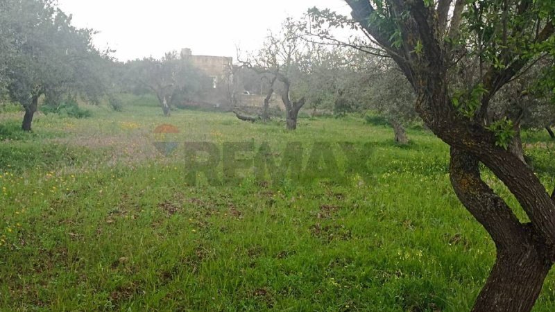 Jordbruksmark i Chiaramonte Gulfi