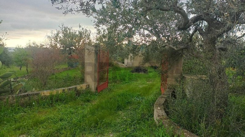 Jordbruksmark i Chiaramonte Gulfi