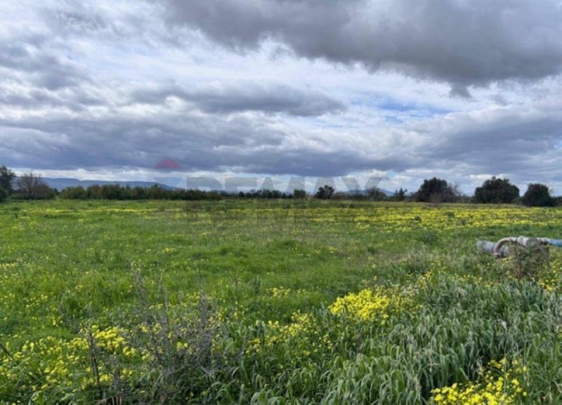 Terrain agricole à Lentini