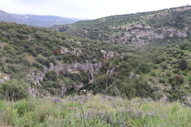 Terreno agricolo a Mascali