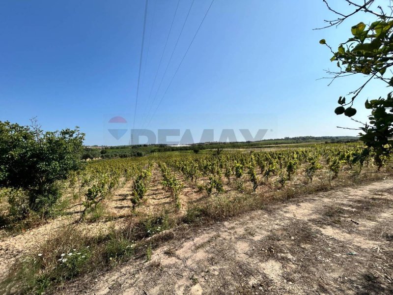Agricultural land in Noto