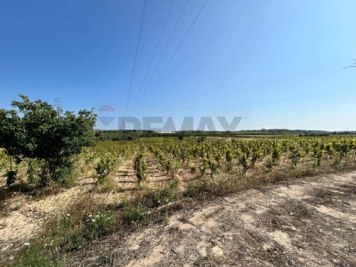 Agricultural land in Noto