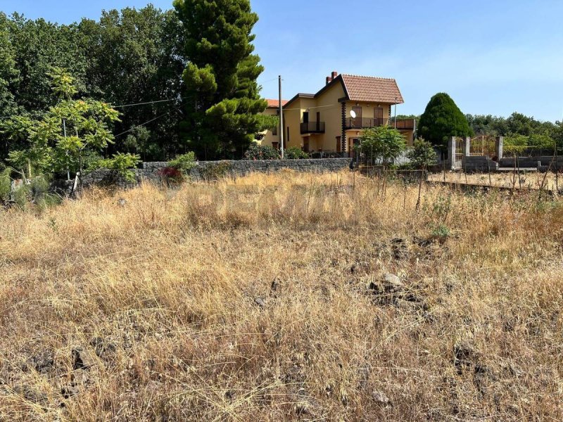 Сельскохозяйственный участок в Рагальна