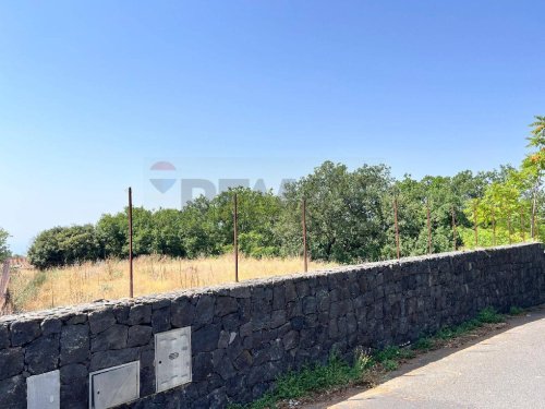 Сельскохозяйственный участок в Рагальна