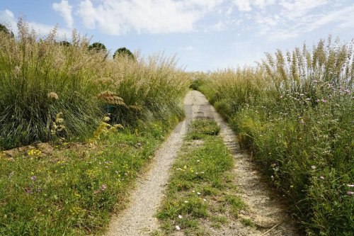 Landbouwgrond in Enna