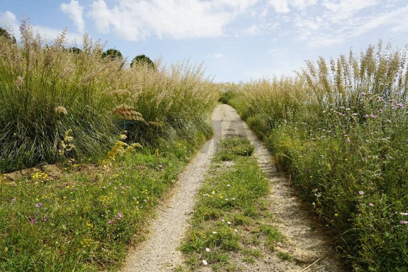 Landwirtschaftliche Fläche in Enna