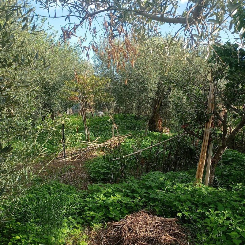 Jordbruksmark i Misterbianco