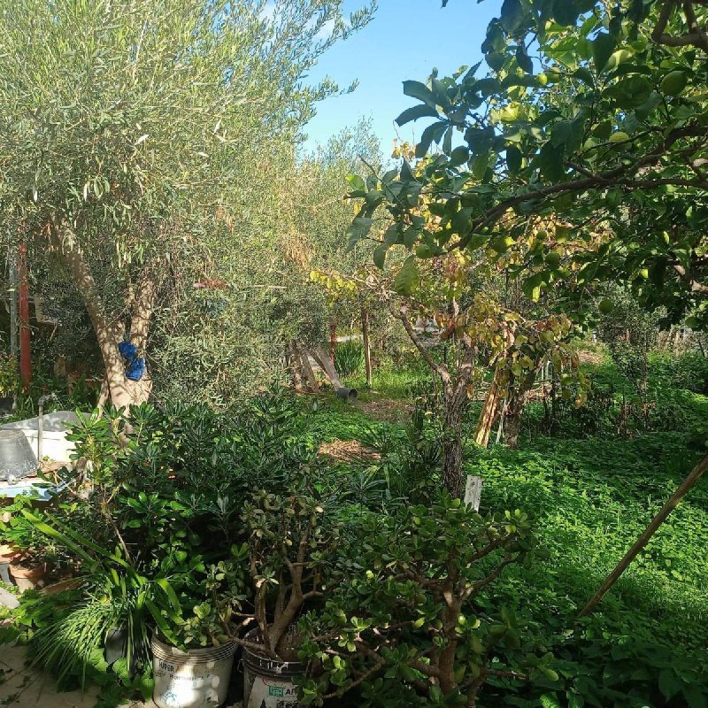 Jordbruksmark i Misterbianco