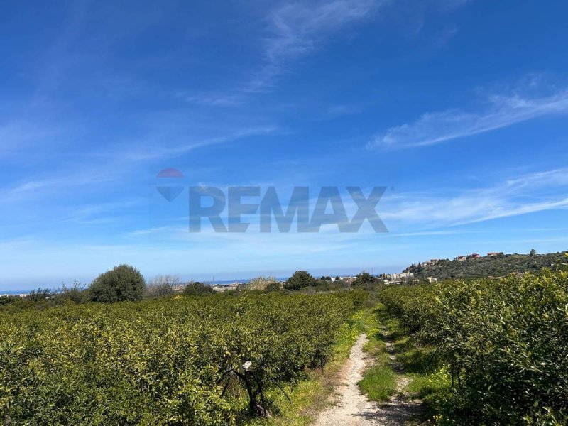 Jordbruksmark i Palermo