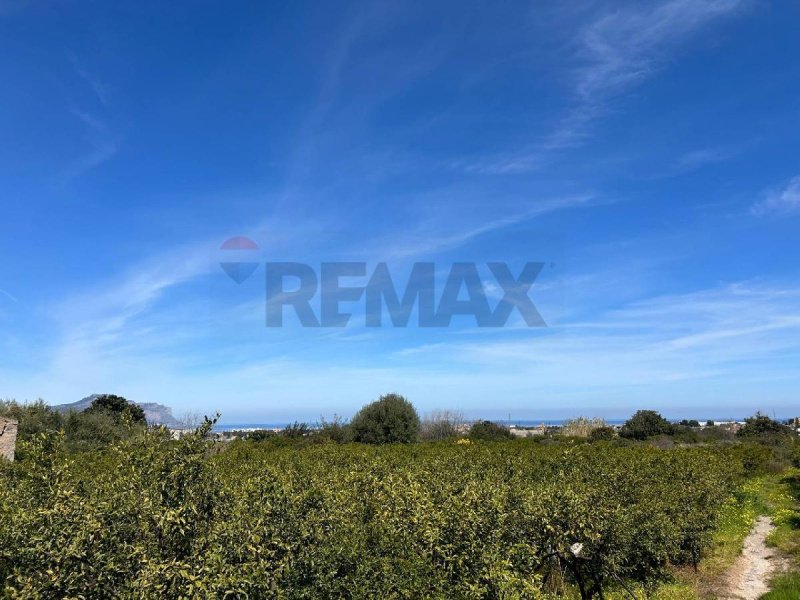 Jordbruksmark i Palermo