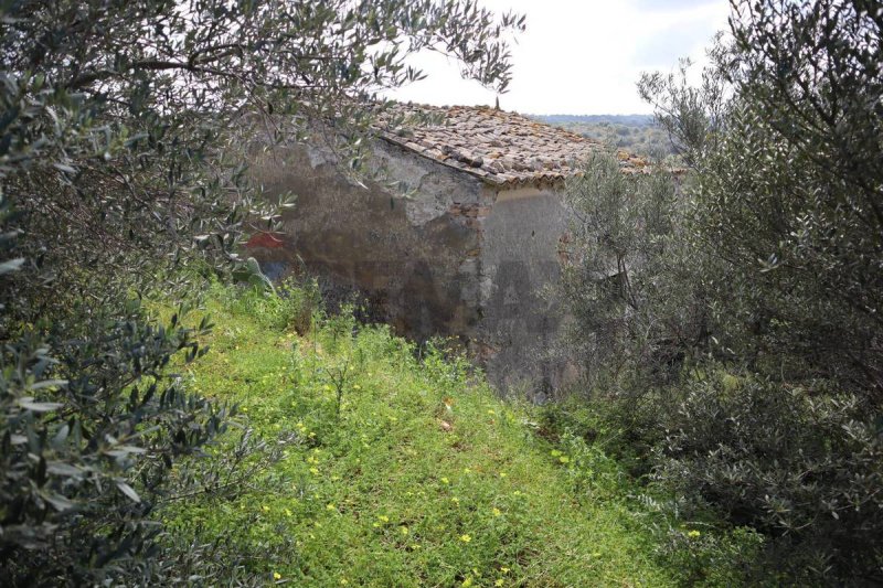 维多利亚农用土地