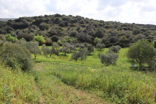 维多利亚农用土地