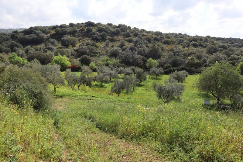 维多利亚农用土地