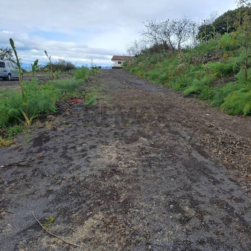 Сельскохозяйственный участок в Рагальна