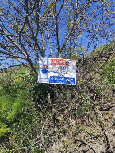 Сельскохозяйственный участок в Рагальна