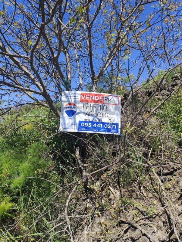 Сельскохозяйственный участок в Рагальна