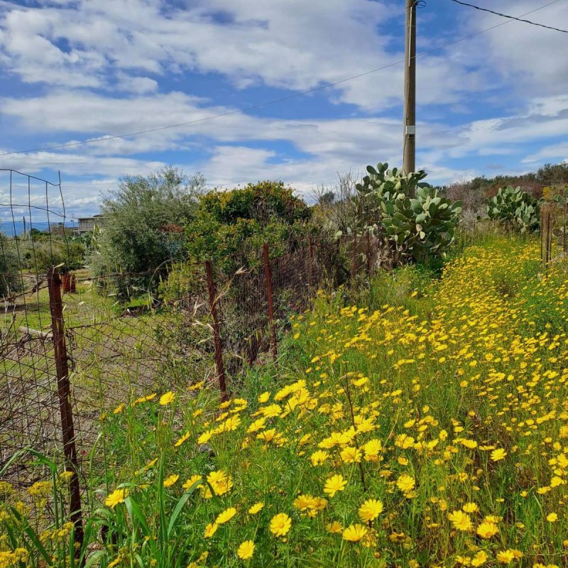 Landwirtschaftliche Fläche in Paternò