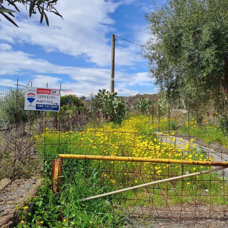 Landwirtschaftliche Fläche in Paternò