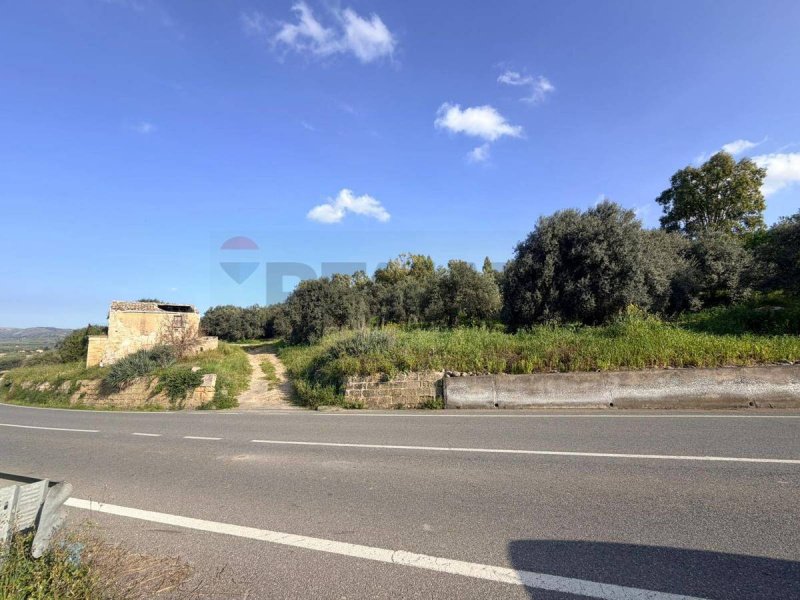 Terreno agrícola em Mineo