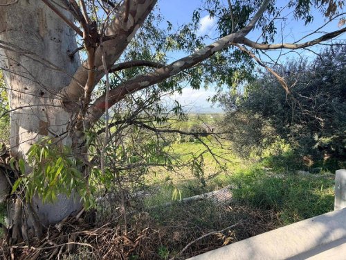 Terreno agrícola em Mineo