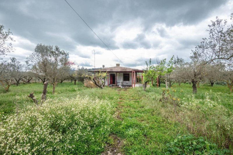 Casa indipendente a Caltagirone