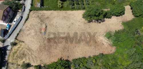 Terreno agricolo a Monreale