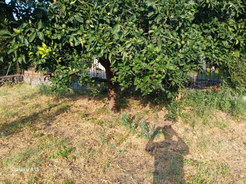 Villa i Piedimonte Etneo