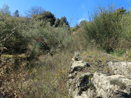 Сельскохозяйственный участок в Маскали