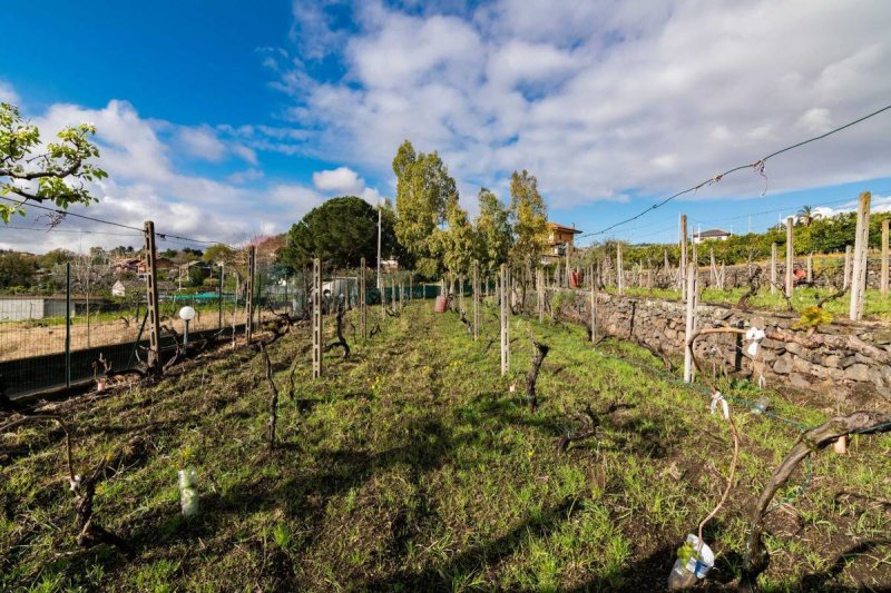 Строительный участок в Виагранде