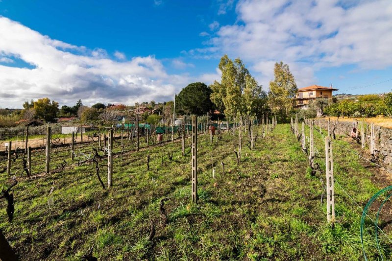 Строительный участок в Виагранде