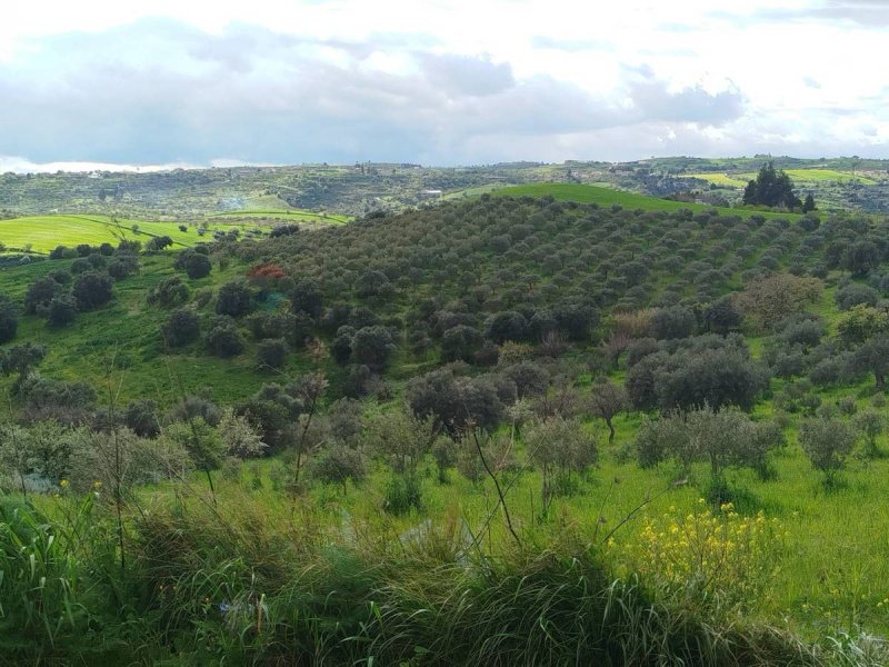 Agricultural land in Palazzolo Acreide