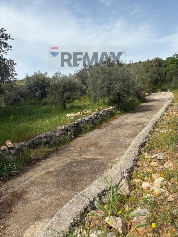 弗洛里迪亚土地