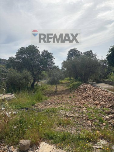 弗洛里迪亚土地