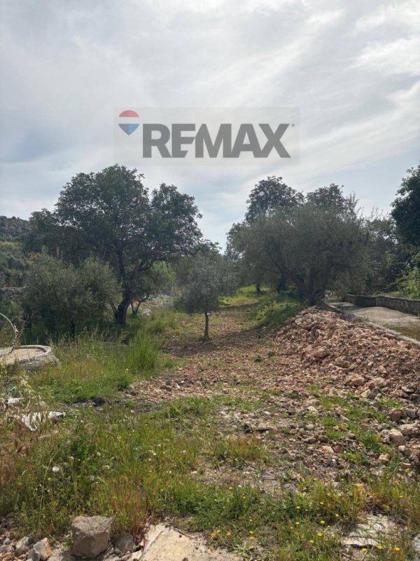 弗洛里迪亚土地