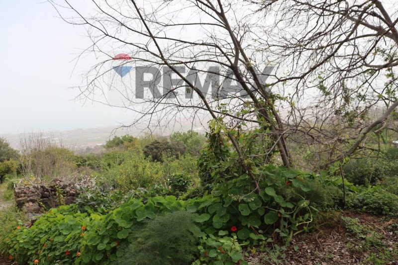 Сельскохозяйственный участок в Джарре