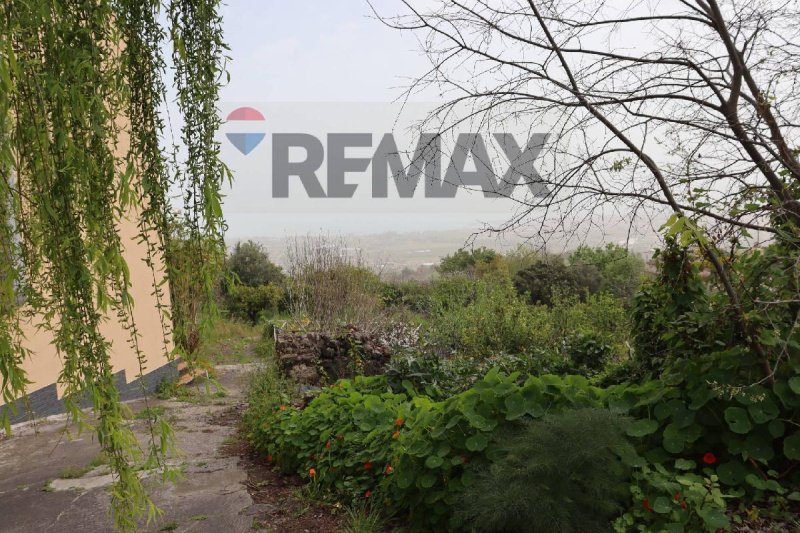 Сельскохозяйственный участок в Джарре