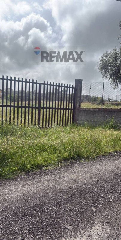 Building plot in Motta Sant'Anastasia