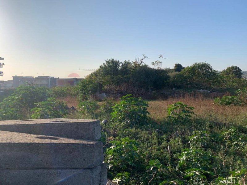 Terreno agrícola em Aci Catena