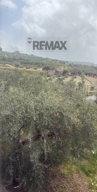 Terreno agrícola em Castel di Judica